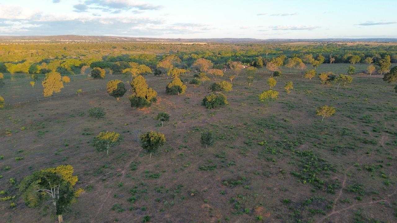 Fazenda à venda com 3 quartos, 3350000m² - Foto 5