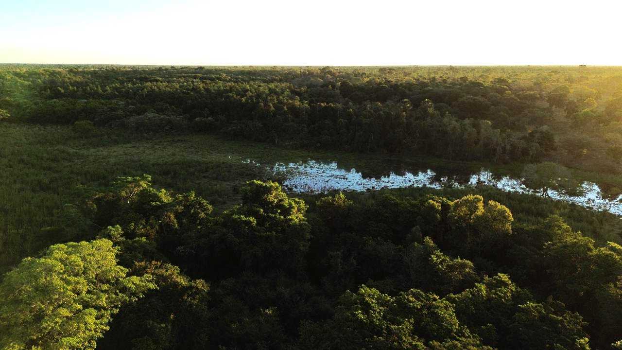 Fazenda à venda com 3 quartos, 3350000m² - Foto 2