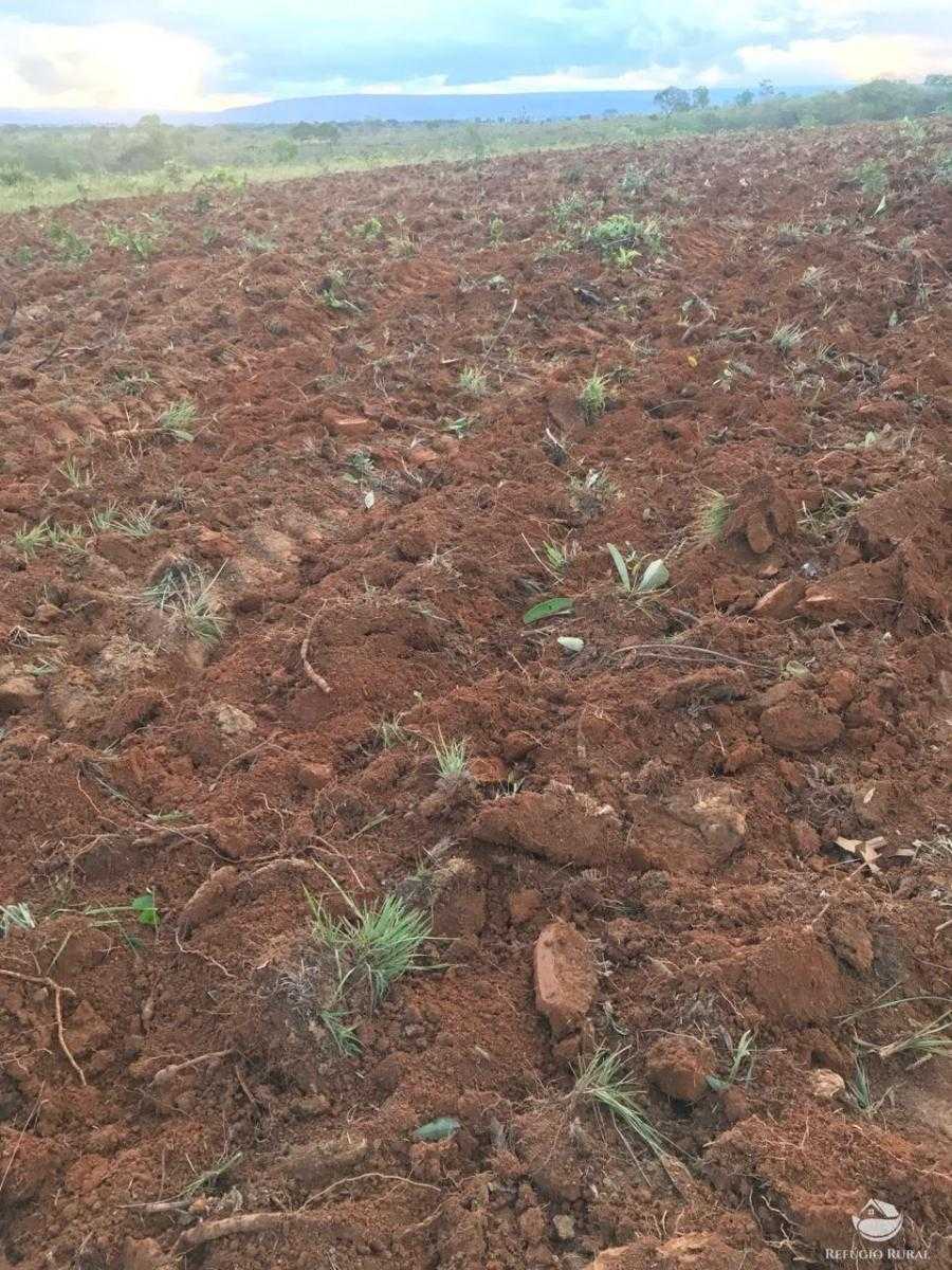 Fazenda à venda com 3 quartos, 3350000m² - Foto 12