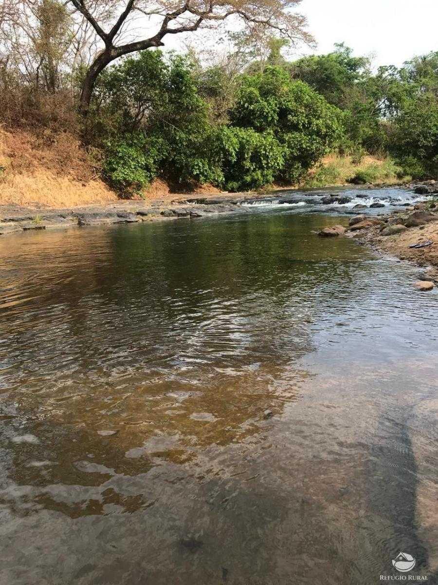 Fazenda à venda com 3 quartos, 3350000m² - Foto 11