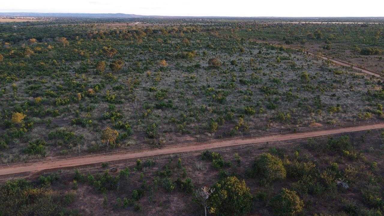 Fazenda à venda com 3 quartos, 3350000m² - Foto 9