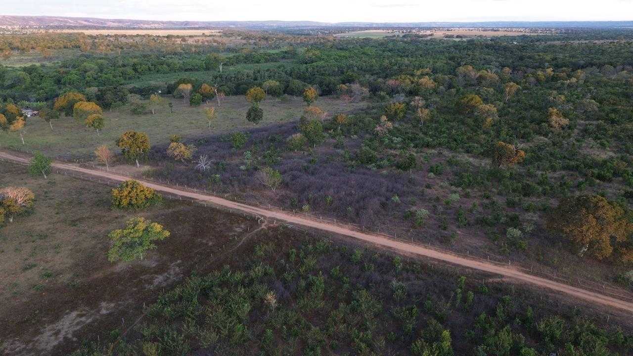 Fazenda à venda com 3 quartos, 3350000m² - Foto 8
