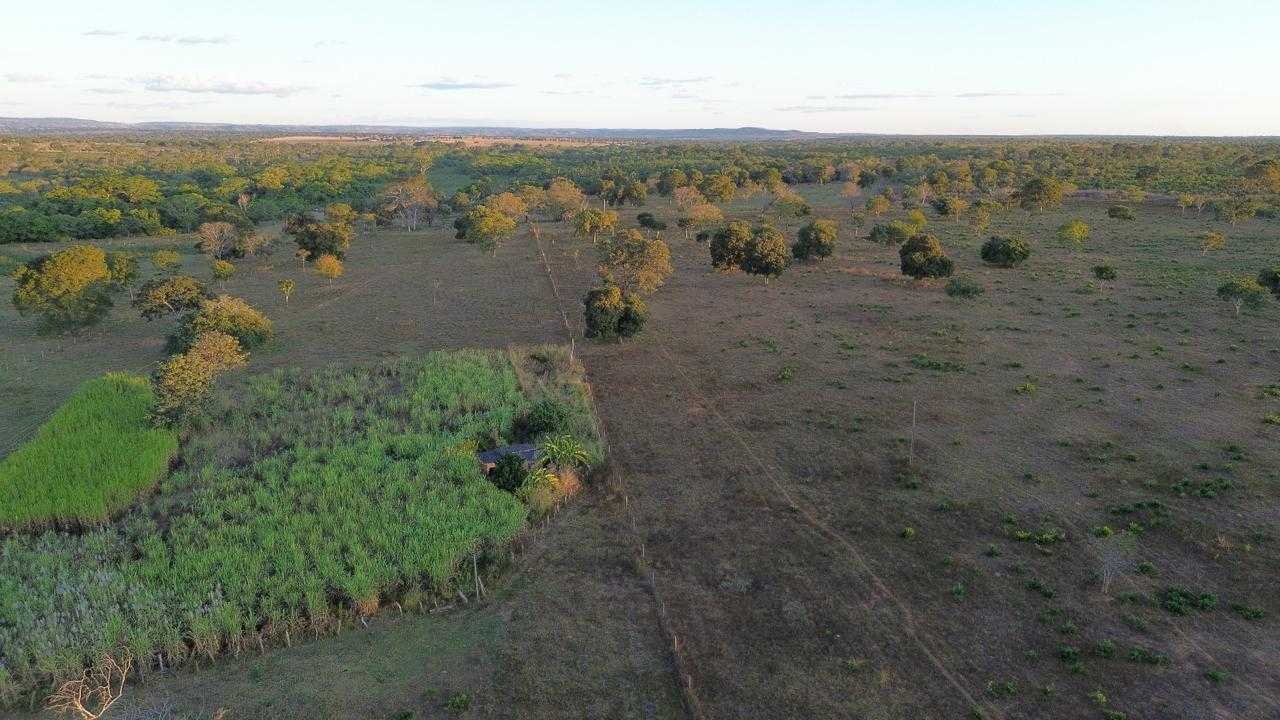 Fazenda à venda com 3 quartos, 3350000m² - Foto 6