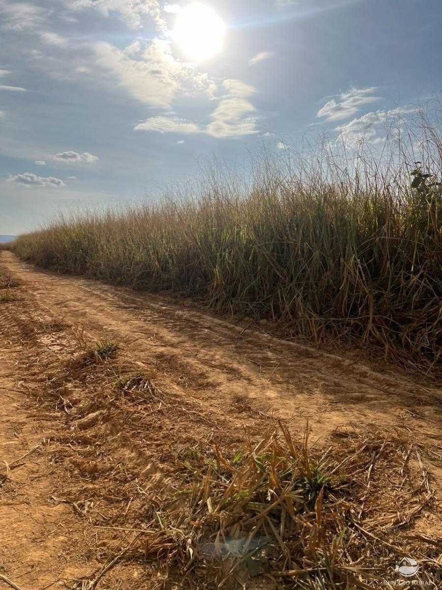 Fazenda à venda com 3 quartos, 3350000m² - Foto 10