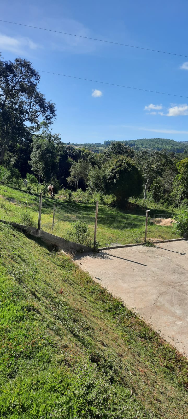 Sítio à venda com 4 quartos, 2000m² - Foto 11