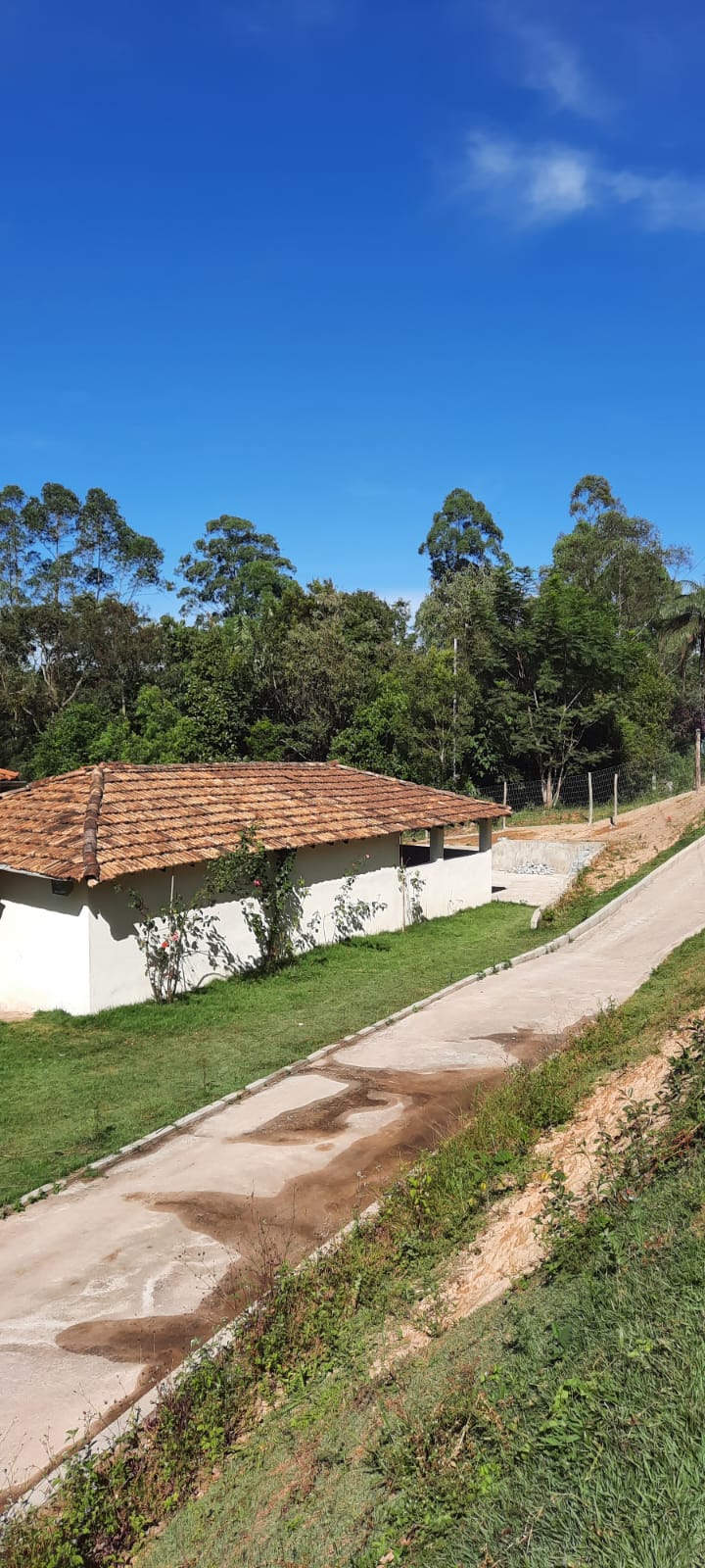Sítio à venda com 4 quartos, 2000m² - Foto 9