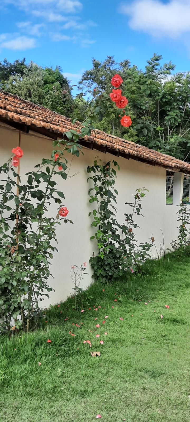 Sítio à venda com 4 quartos, 2000m² - Foto 24