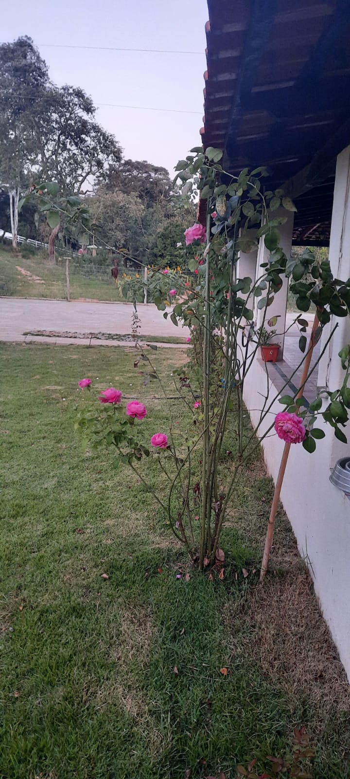 Sítio à venda com 4 quartos, 2000m² - Foto 5