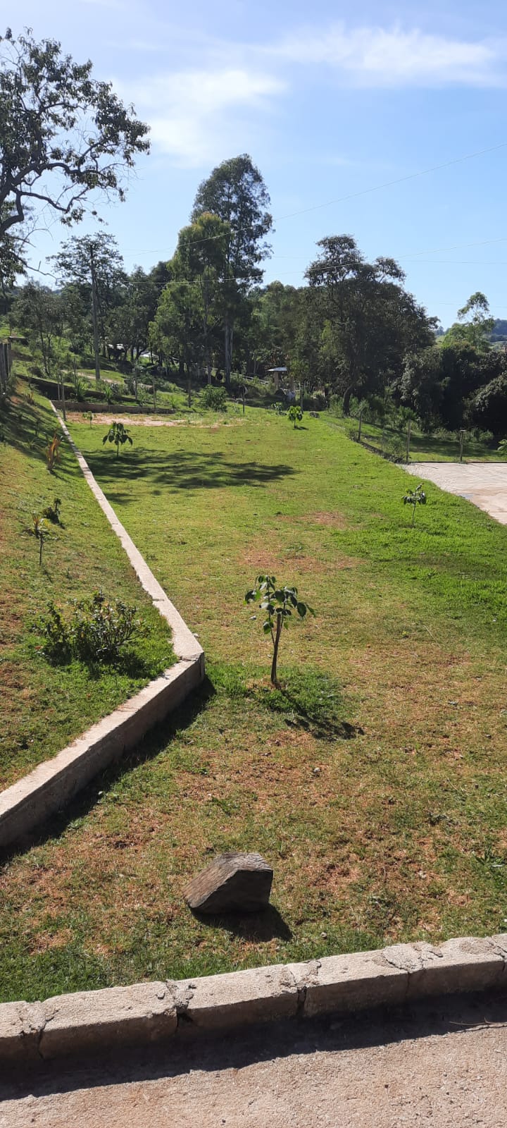 Sítio à venda com 4 quartos, 2000m² - Foto 23