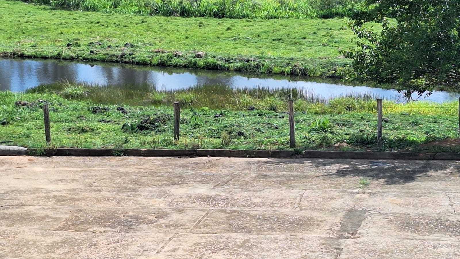 Sítio à venda com 3 quartos, 455000m² - Foto 12