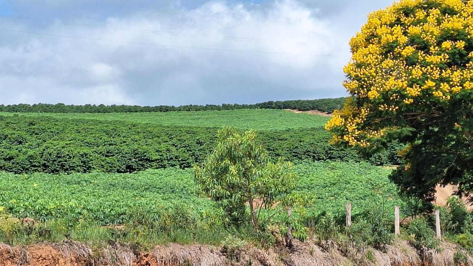 Sítio à venda com 3 quartos, 455000m² - Foto 17
