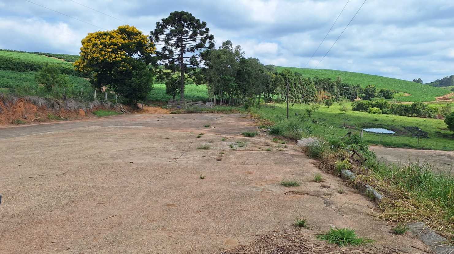Sítio à venda com 3 quartos, 455000m² - Foto 19