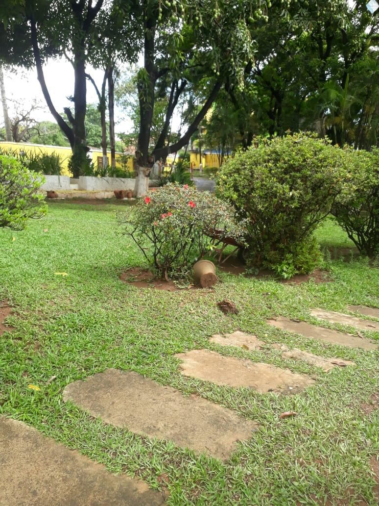 Fazenda à venda com 4 quartos, 5000m² - Foto 11