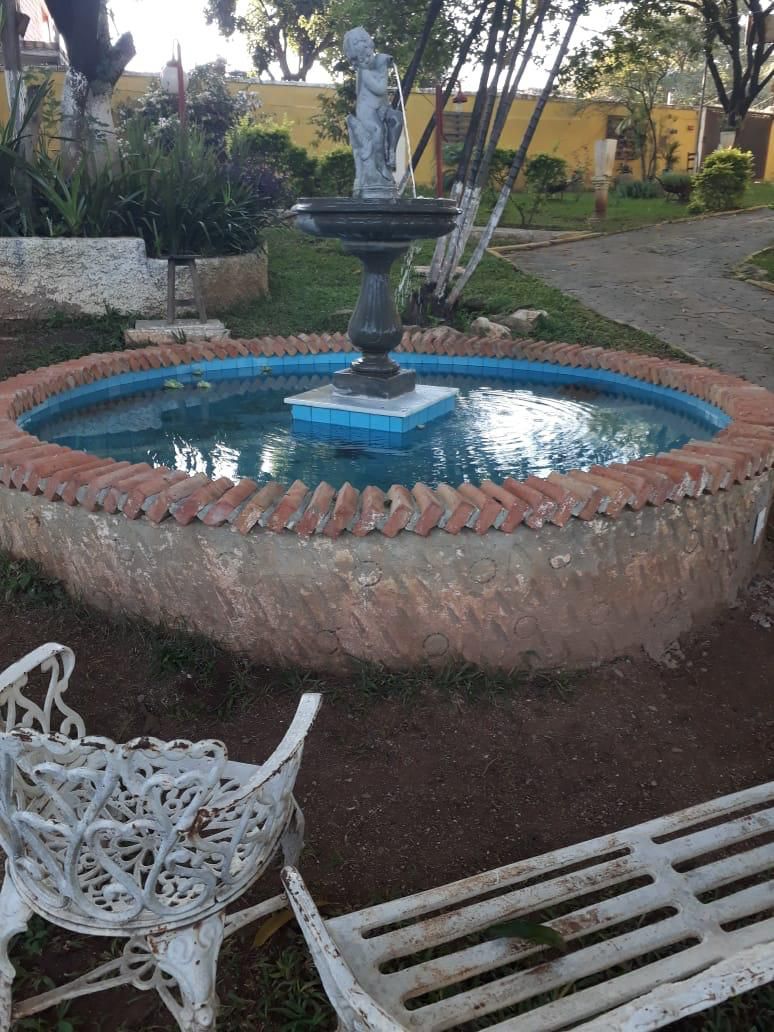 Fazenda à venda com 4 quartos, 5000m² - Foto 4