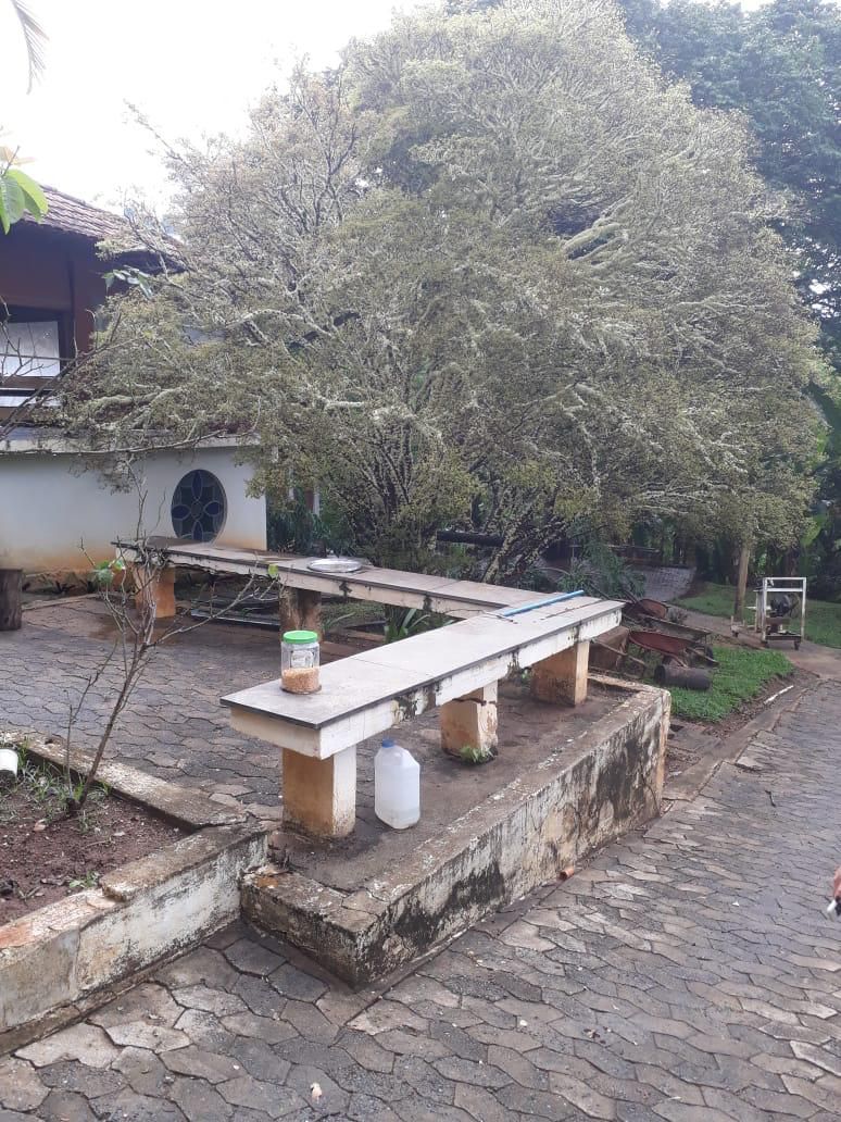 Fazenda à venda com 4 quartos, 5000m² - Foto 17