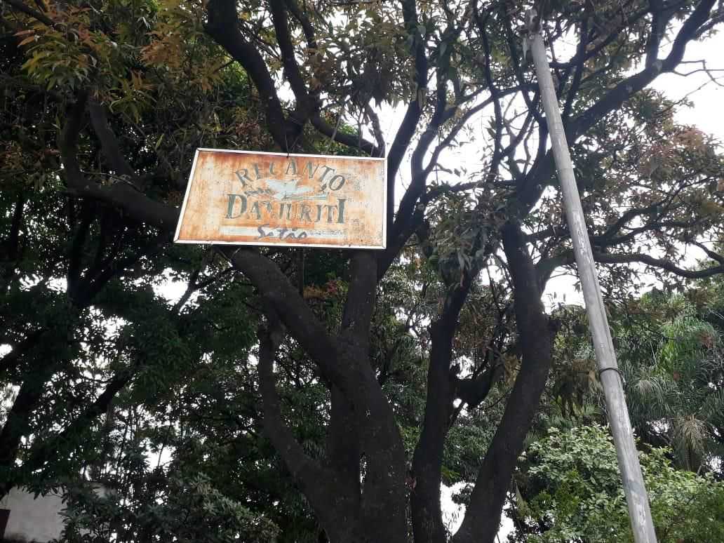 Fazenda à venda com 4 quartos, 5000m² - Foto 6
