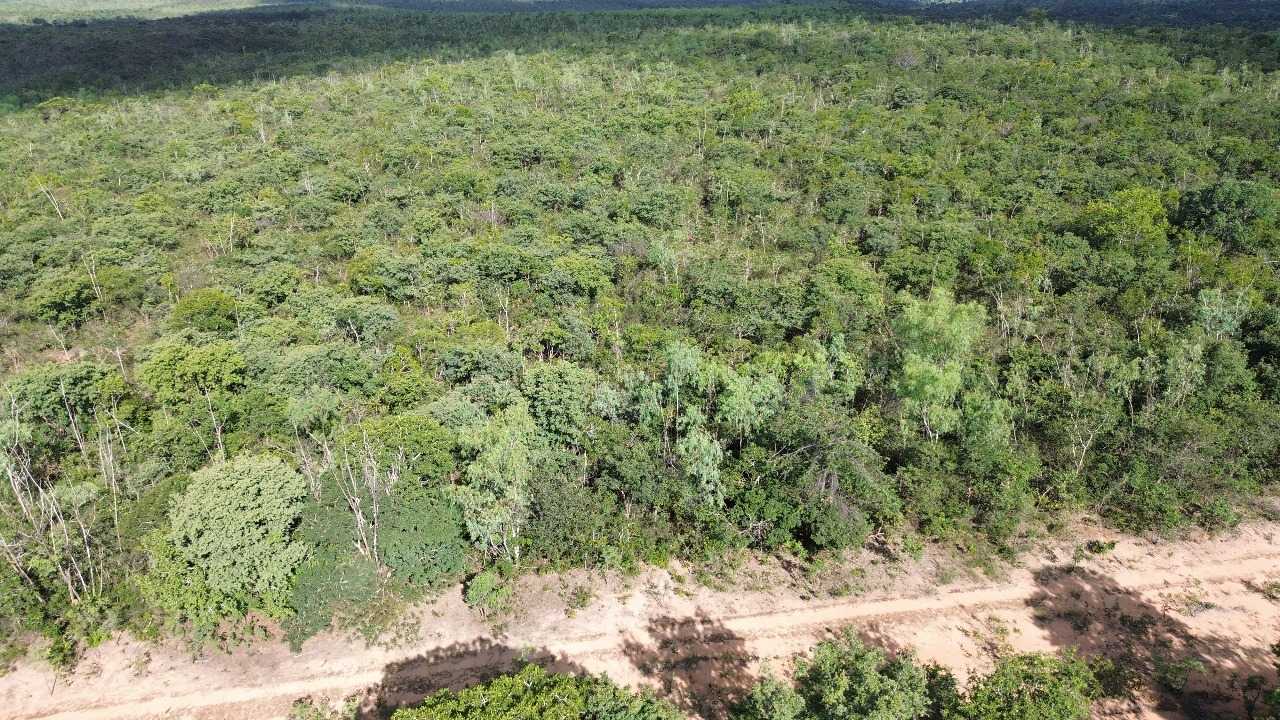 Fazenda à venda com 3 quartos, 32600000m² - Foto 1