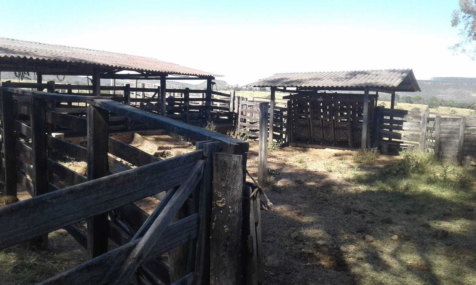 Fazenda à venda com 3 quartos, 32600000m² - Foto 10