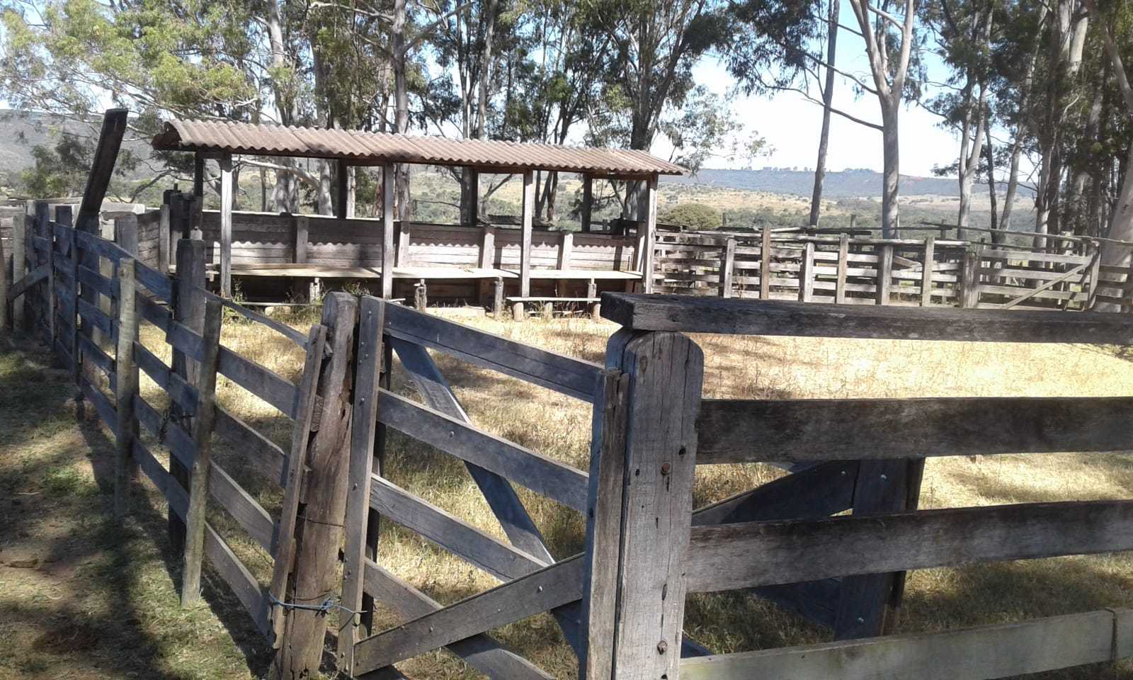 Fazenda à venda com 3 quartos, 32600000m² - Foto 9