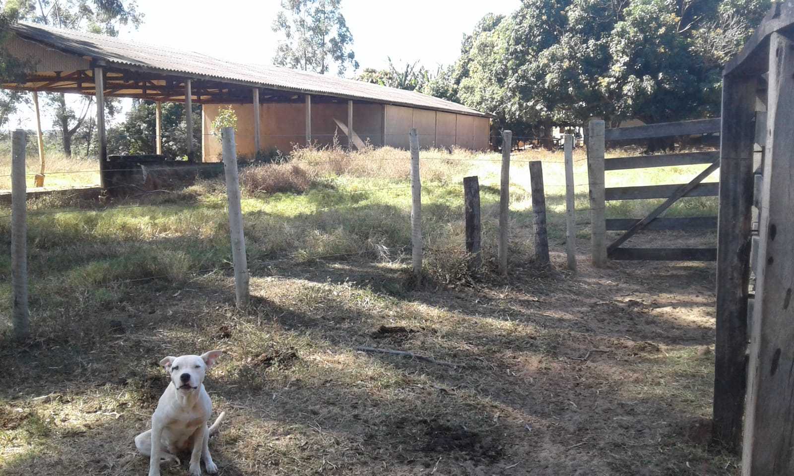 Fazenda à venda com 3 quartos, 32600000m² - Foto 7