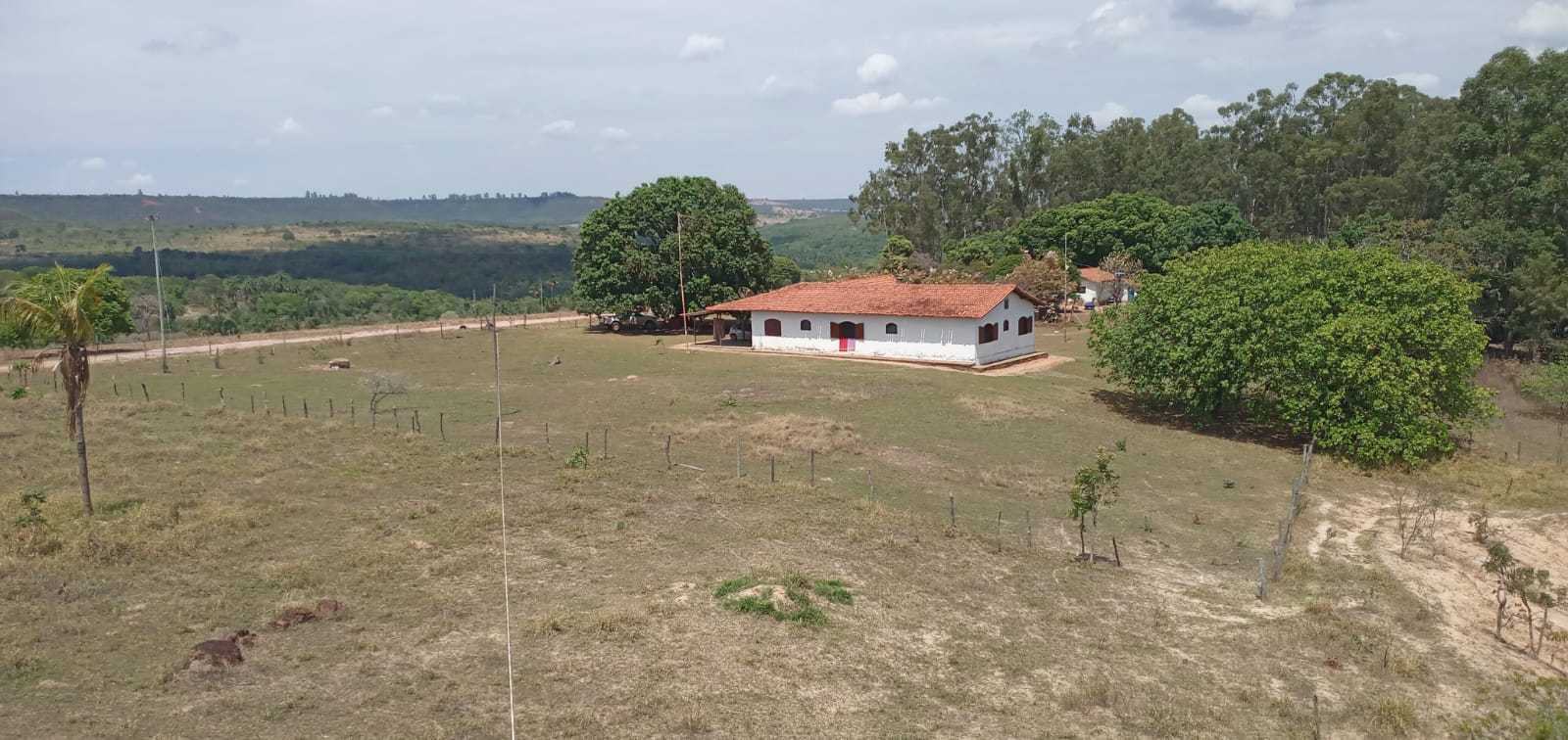 Fazenda à venda com 3 quartos, 32600000m² - Foto 6