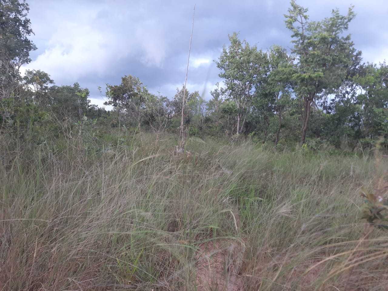 Fazenda à venda com 3 quartos, 32600000m² - Foto 3