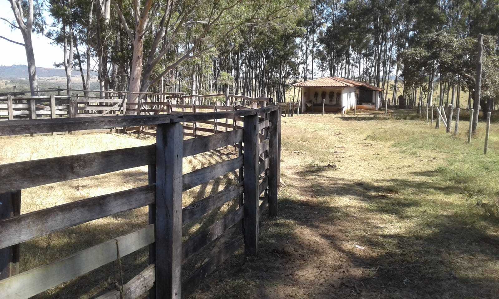 Fazenda à venda com 3 quartos, 32600000m² - Foto 8