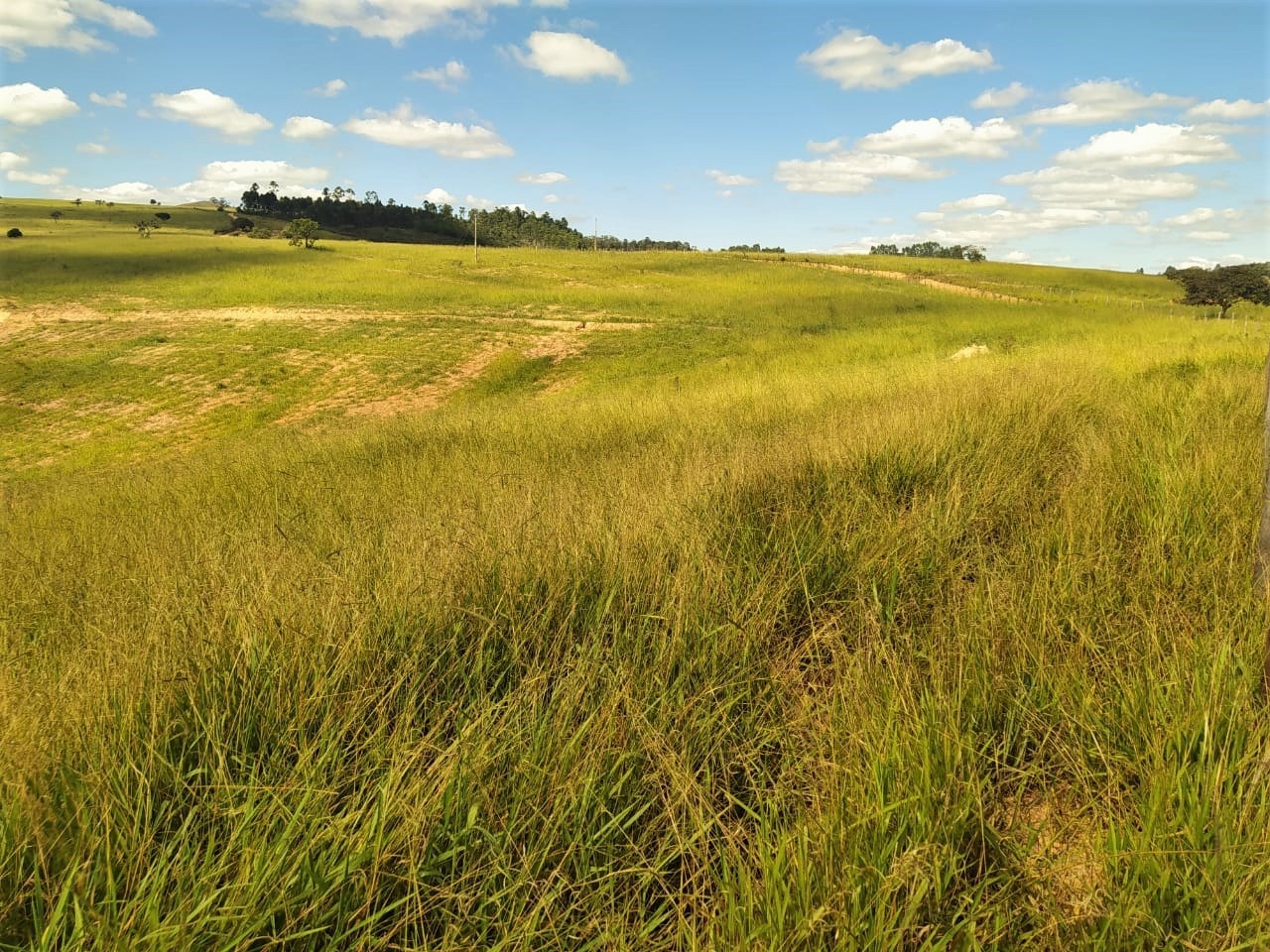 Fazenda à venda com 2 quartos, 3250000m² - Foto 4