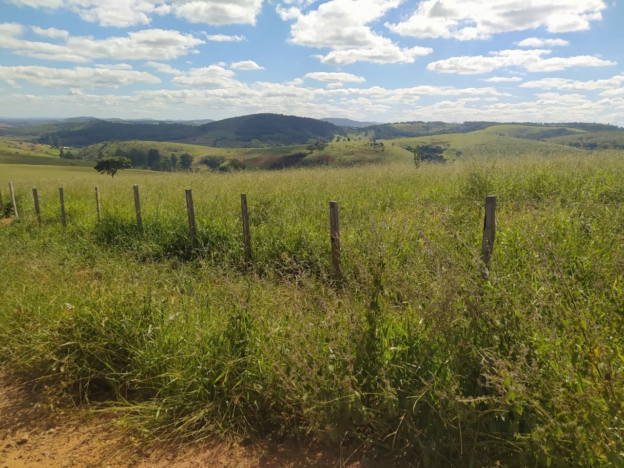 Fazenda à venda com 2 quartos, 3250000m² - Foto 5