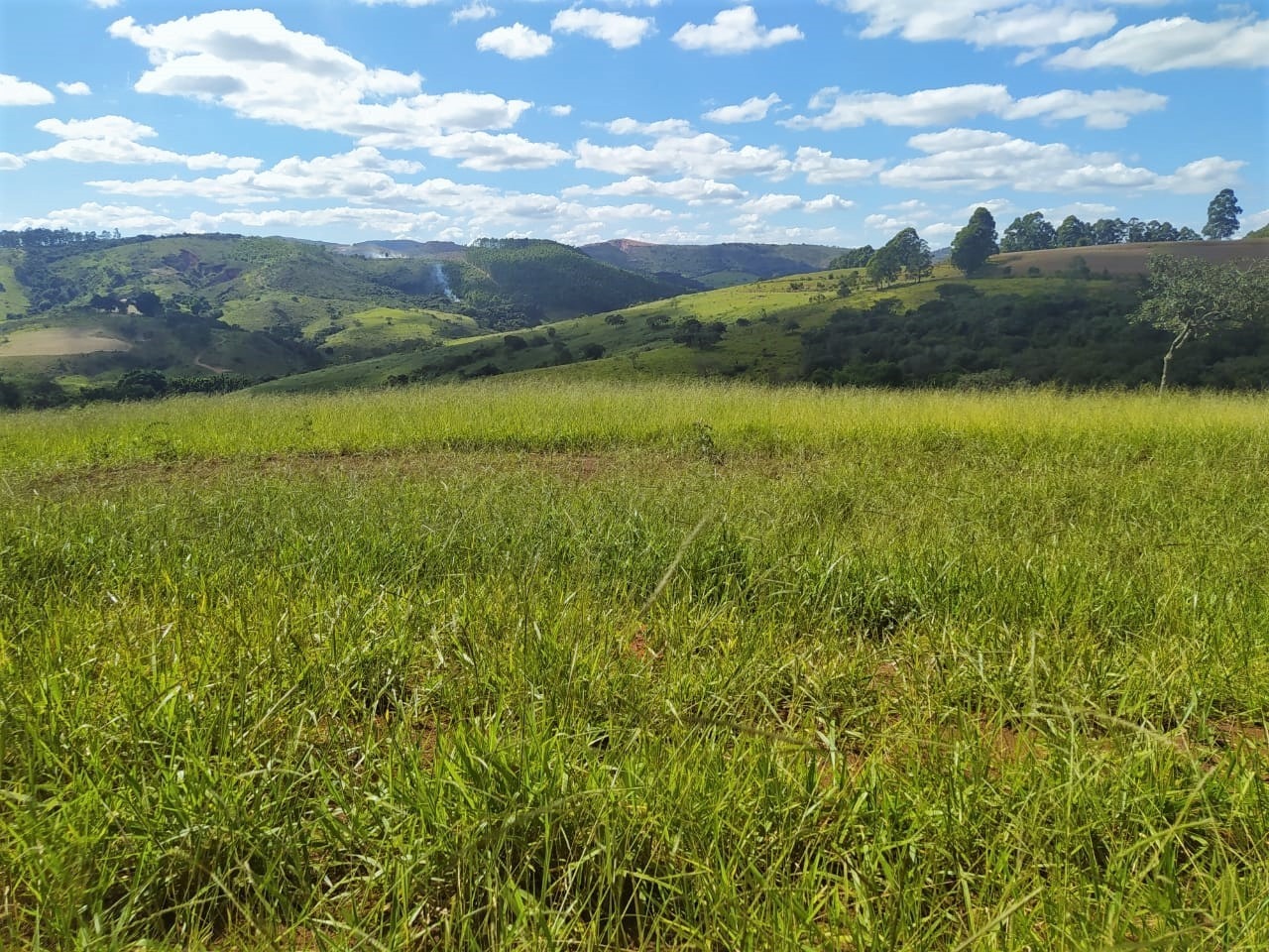 Fazenda à venda com 2 quartos, 3250000m² - Foto 3