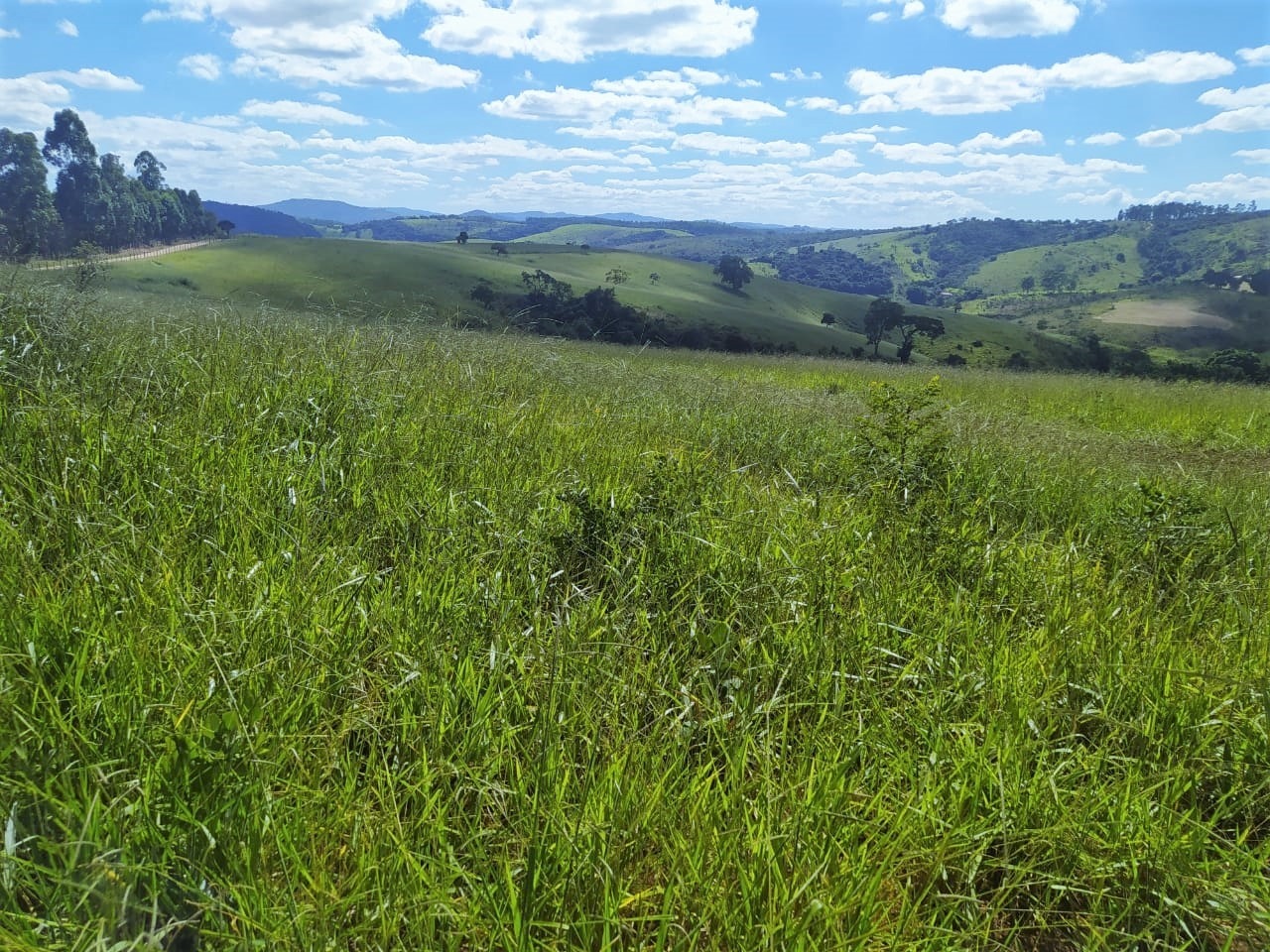 Fazenda à venda com 2 quartos, 3250000m² - Foto 2