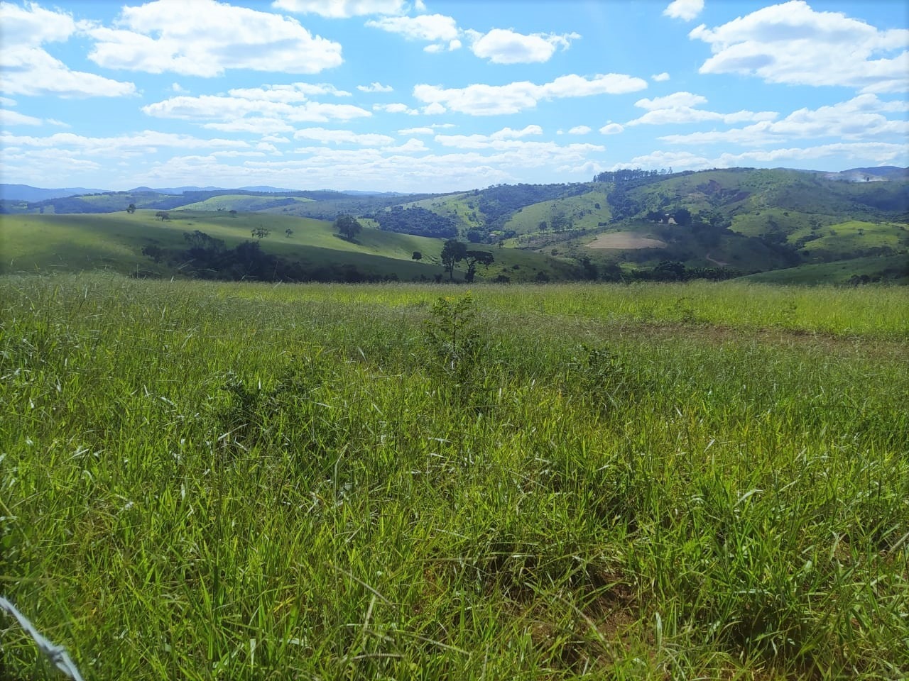 Fazenda à venda com 2 quartos, 3250000m² - Foto 8