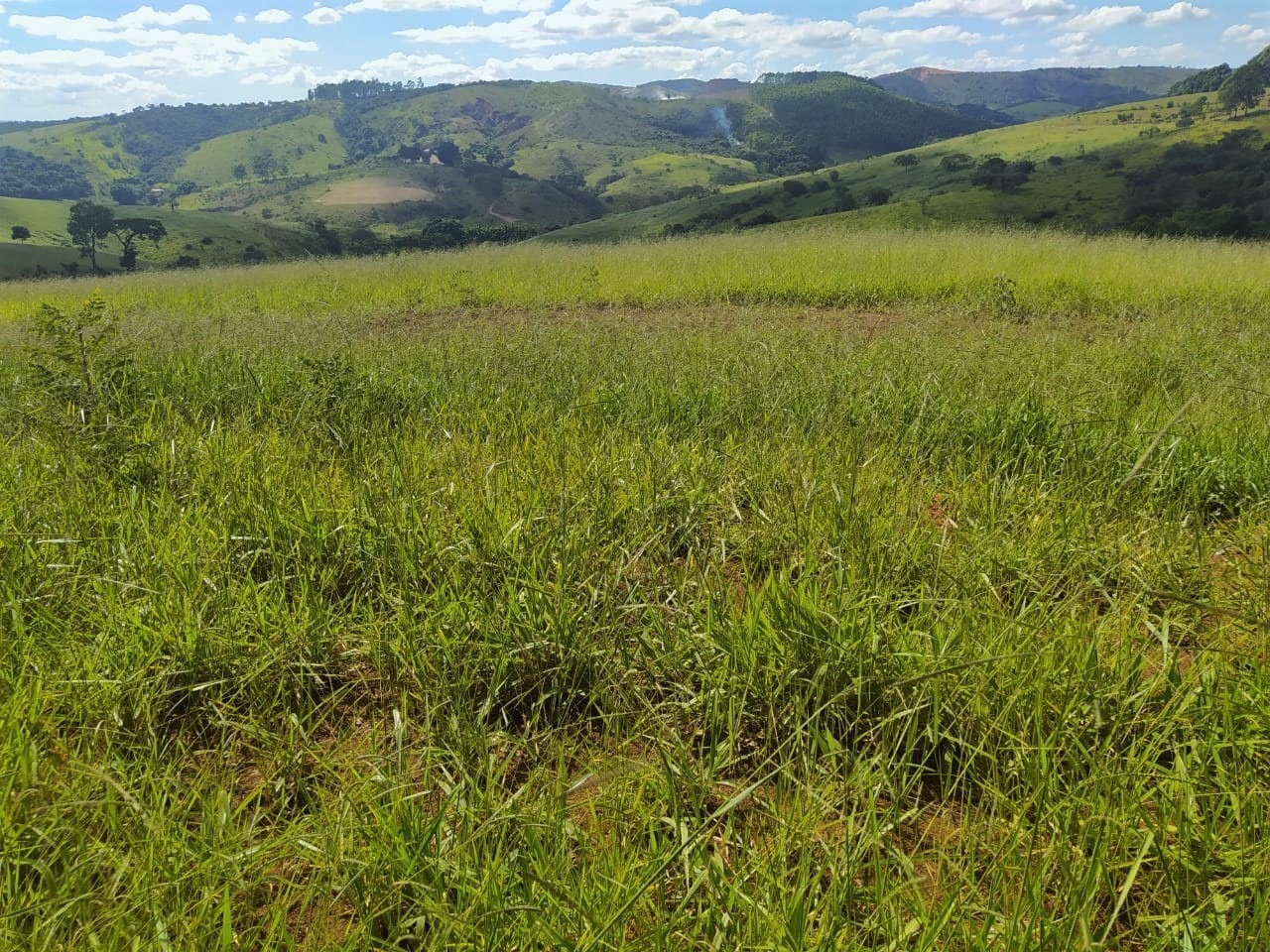 Fazenda à venda com 2 quartos, 3250000m² - Foto 7