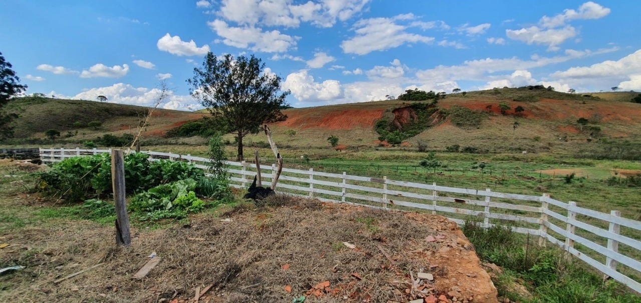 Fazenda à venda com 2 quartos, 3250000m² - Foto 10