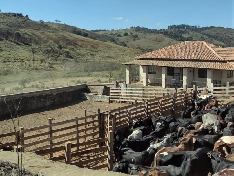 Fazenda à venda com 2 quartos, 3250000m² - Foto 15