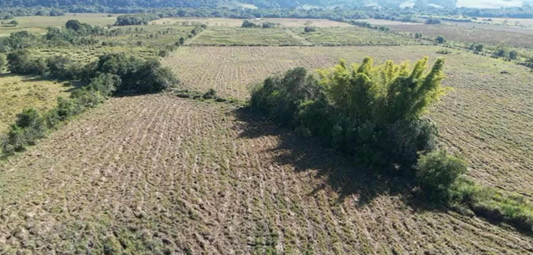 Sítio à venda com 2 quartos, 210000m² - Foto 11