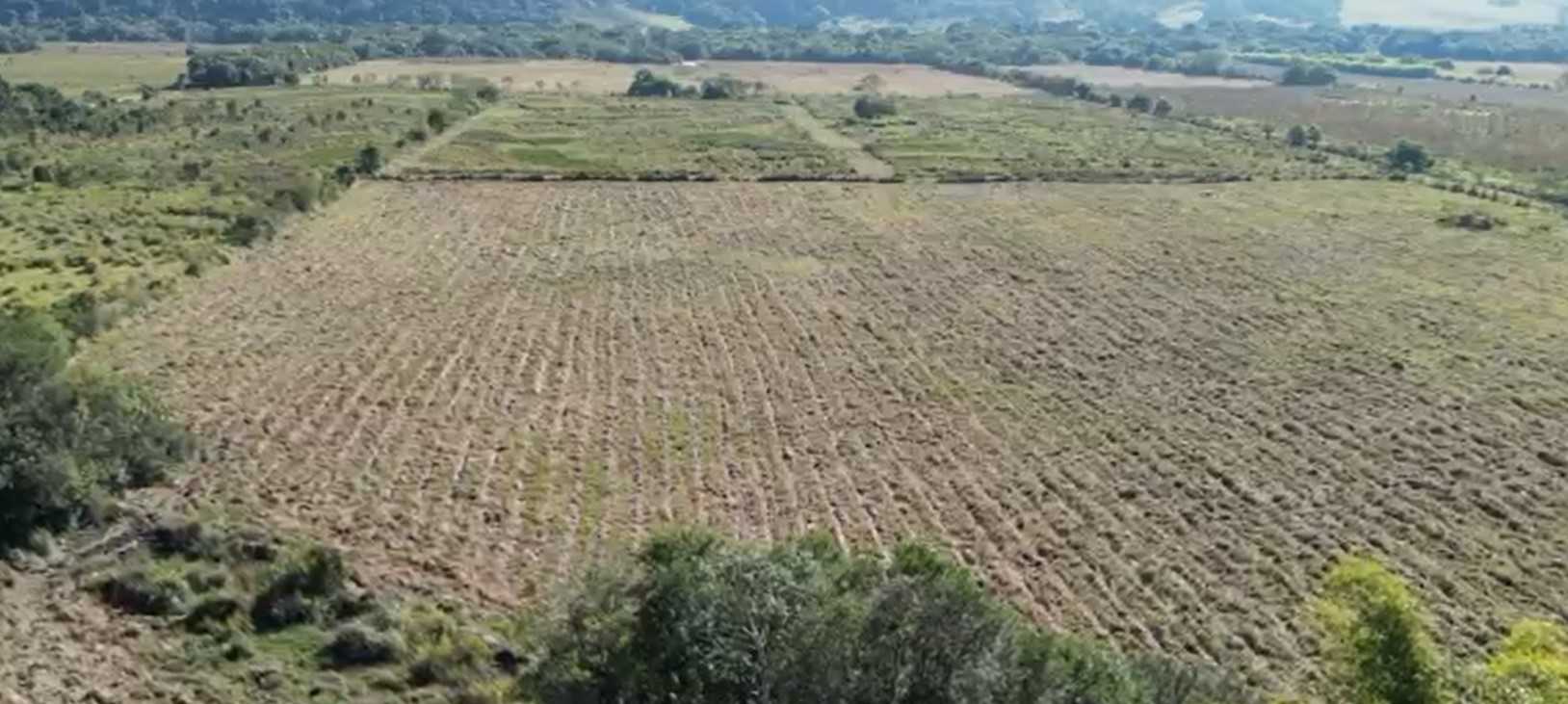 Sítio à venda com 2 quartos, 210000m² - Foto 12