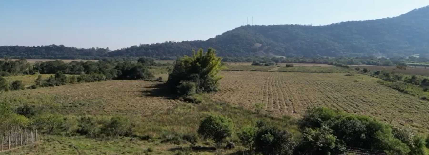 Sítio à venda com 2 quartos, 210000m² - Foto 10