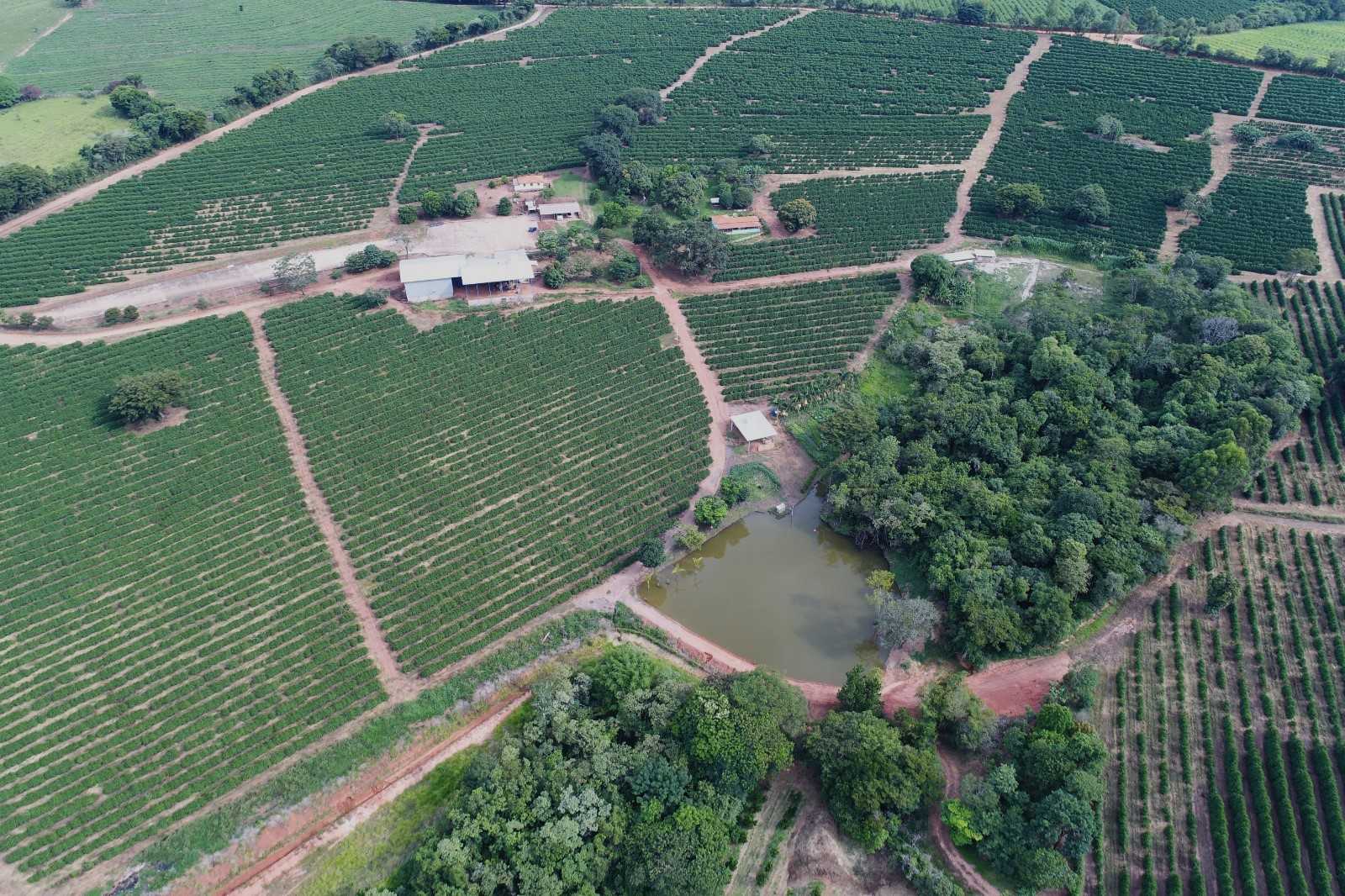 Sítio à venda com 3 quartos, 300m² - Foto 8