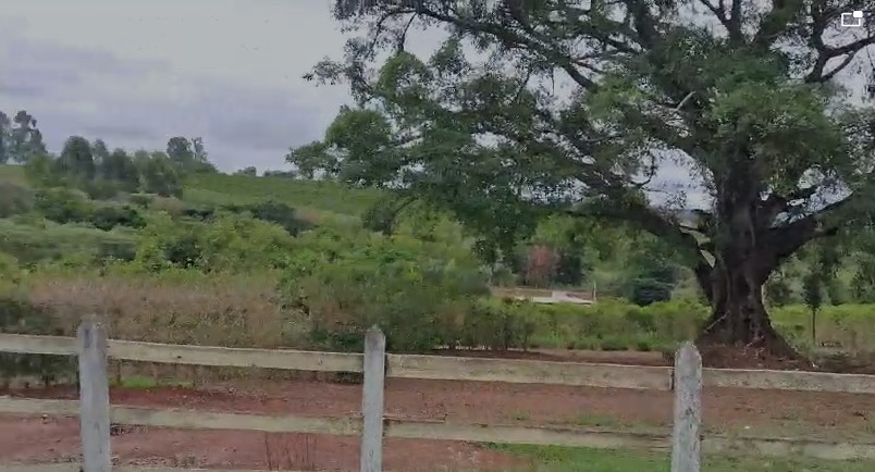 Sítio à venda com 3 quartos, 300m² - Foto 16