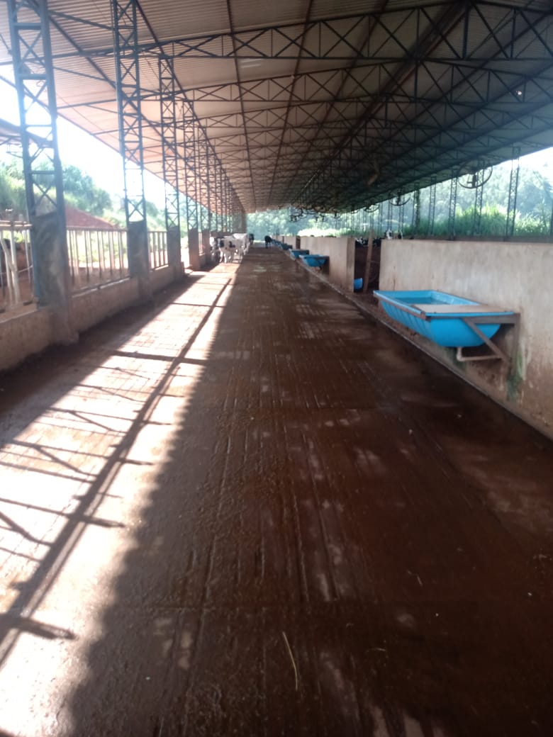 Fazenda à venda com 3 quartos, 1550000m² - Foto 24