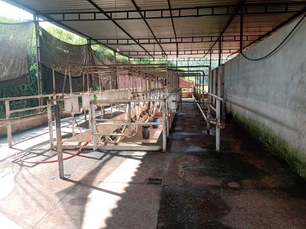 Fazenda à venda com 3 quartos, 1550000m² - Foto 25