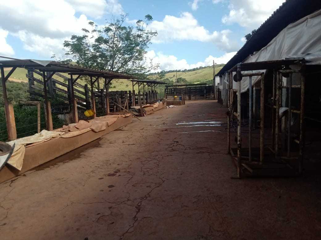 Fazenda à venda com 3 quartos, 1550000m² - Foto 11