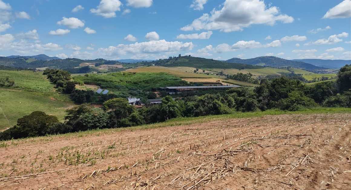 Fazenda à venda com 3 quartos, 1550000m² - Foto 5