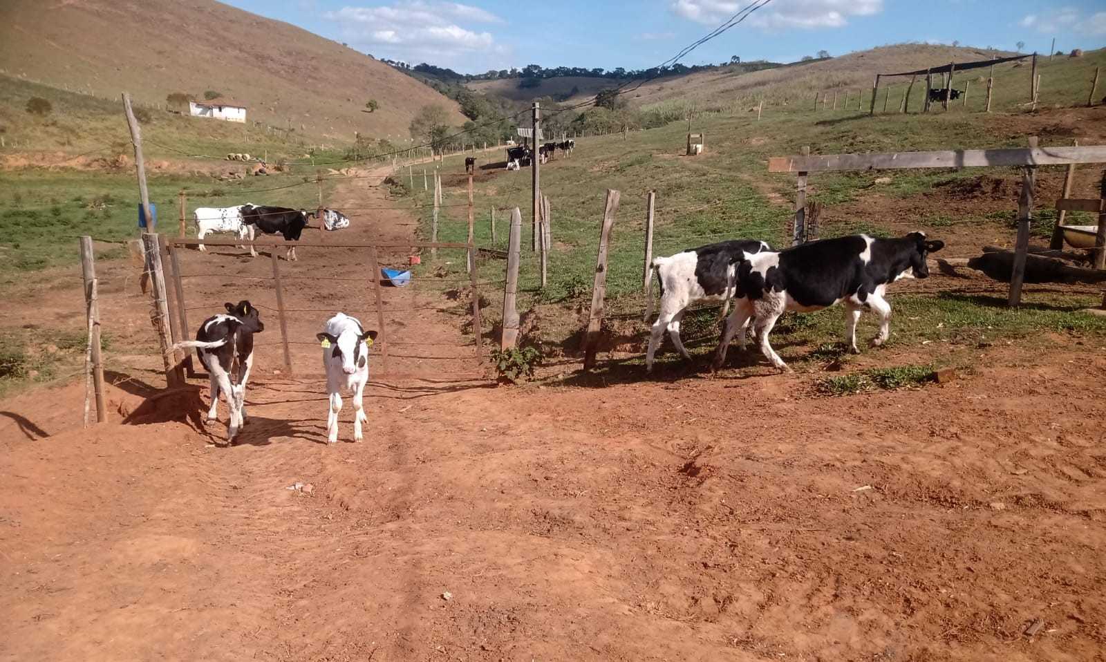Fazenda à venda com 3 quartos, 1550000m² - Foto 6