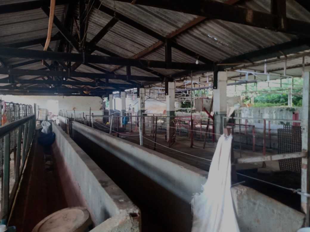 Fazenda à venda com 3 quartos, 1550000m² - Foto 12