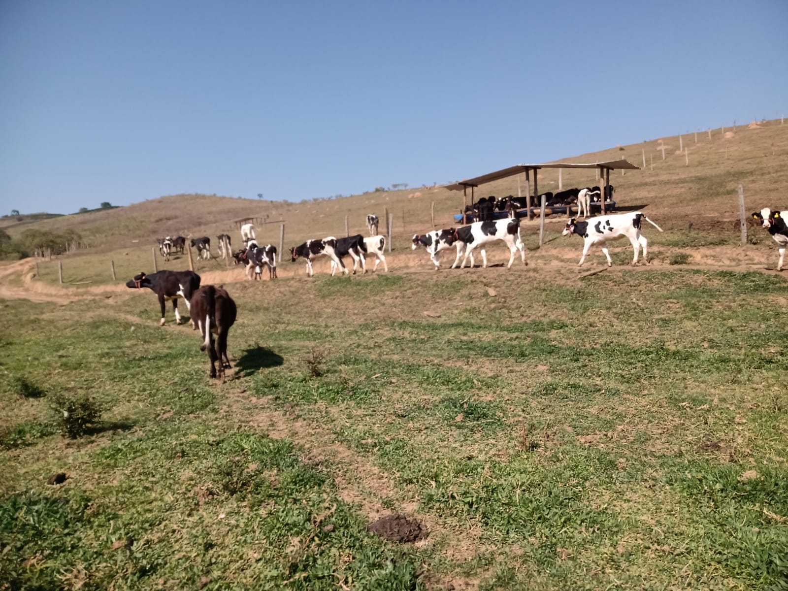 Fazenda à venda com 3 quartos, 1550000m² - Foto 9