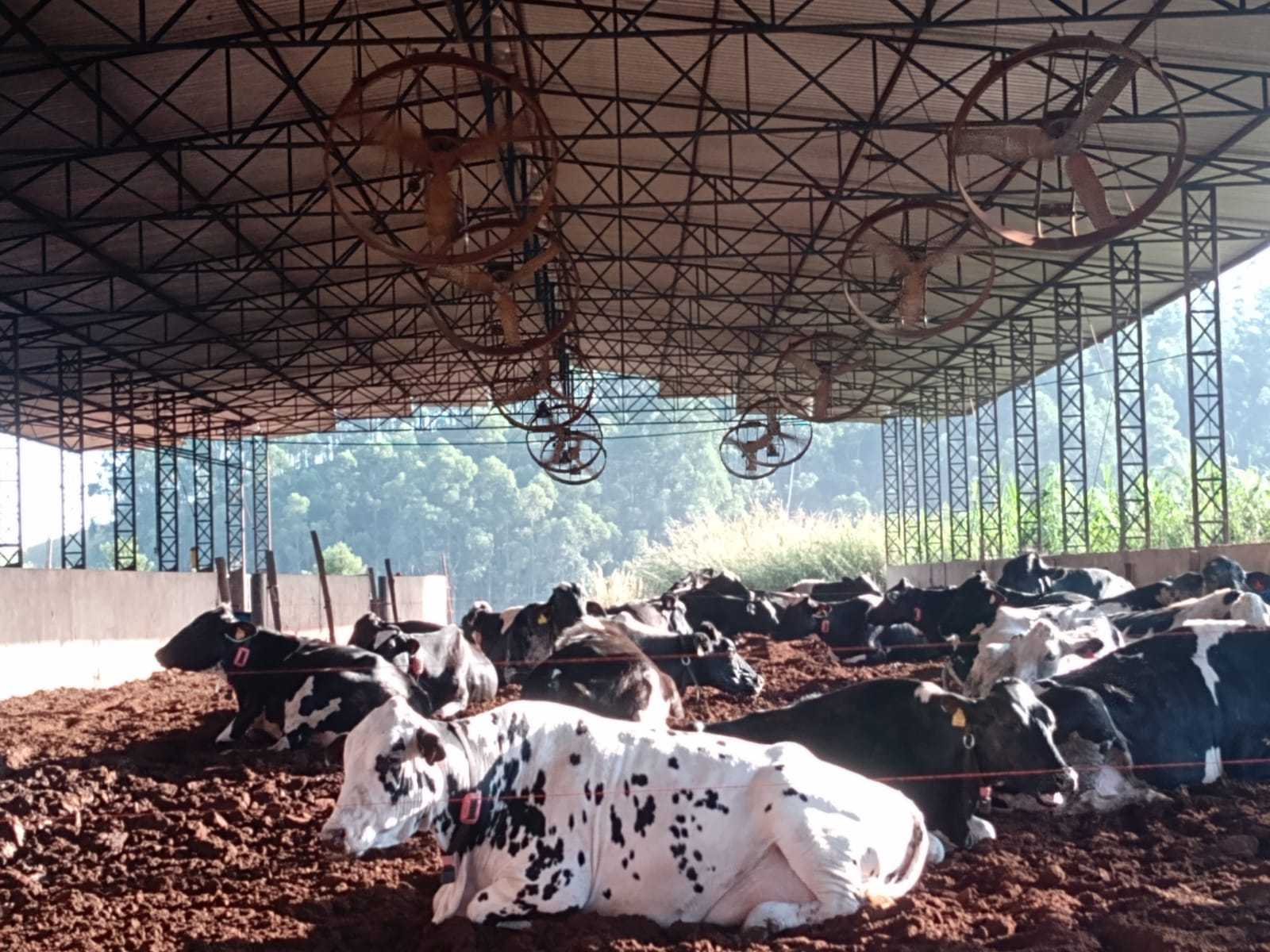Fazenda à venda com 3 quartos, 1550000m² - Foto 18