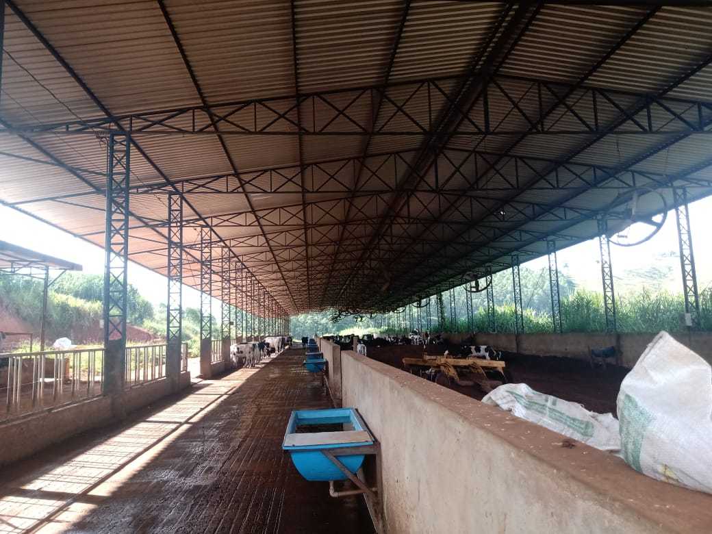 Fazenda à venda com 3 quartos, 1550000m² - Foto 23
