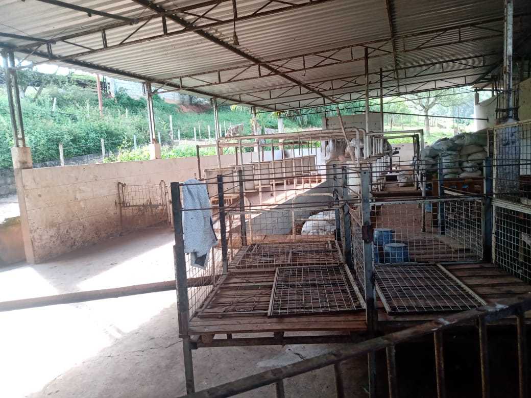 Fazenda à venda com 3 quartos, 1550000m² - Foto 19
